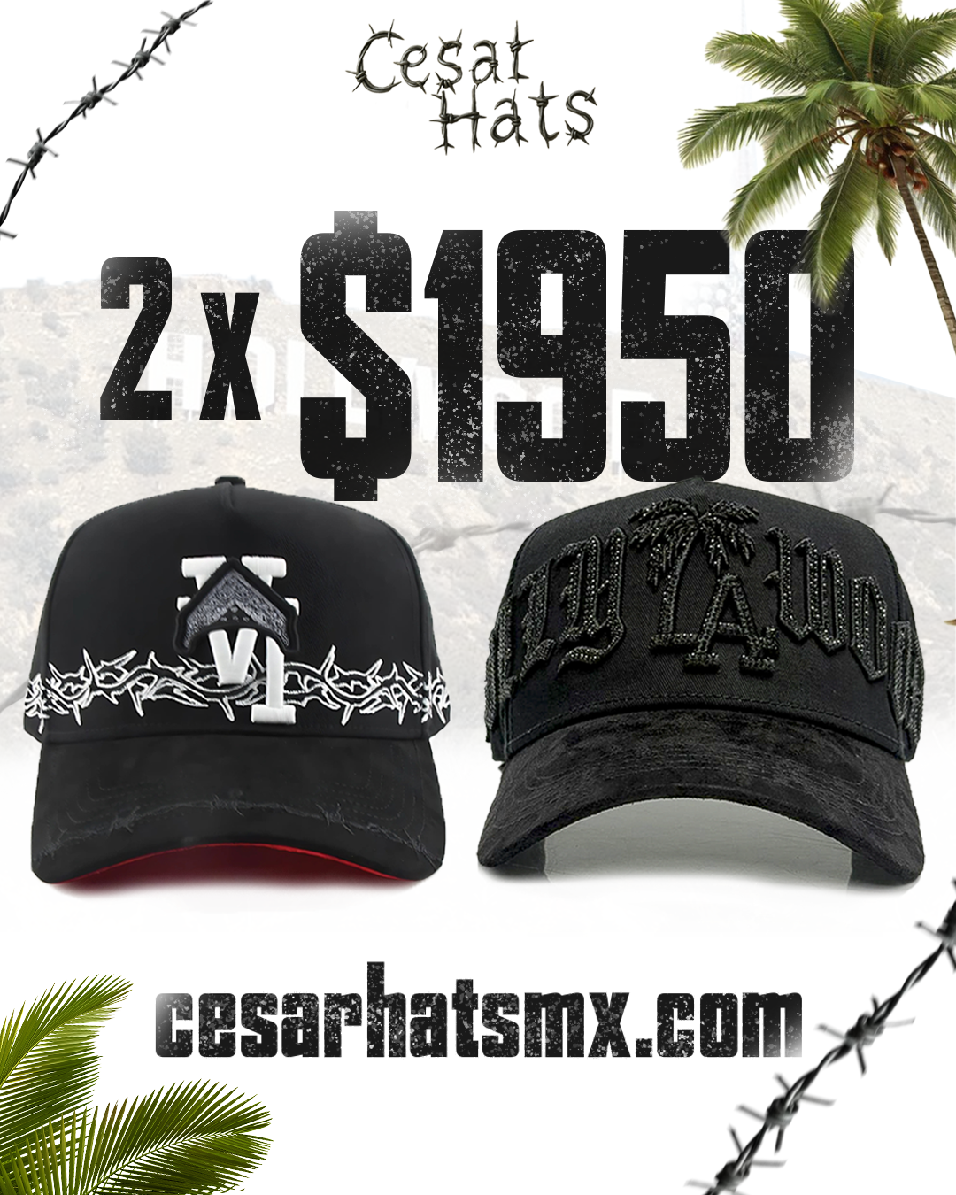 COMBO C$R