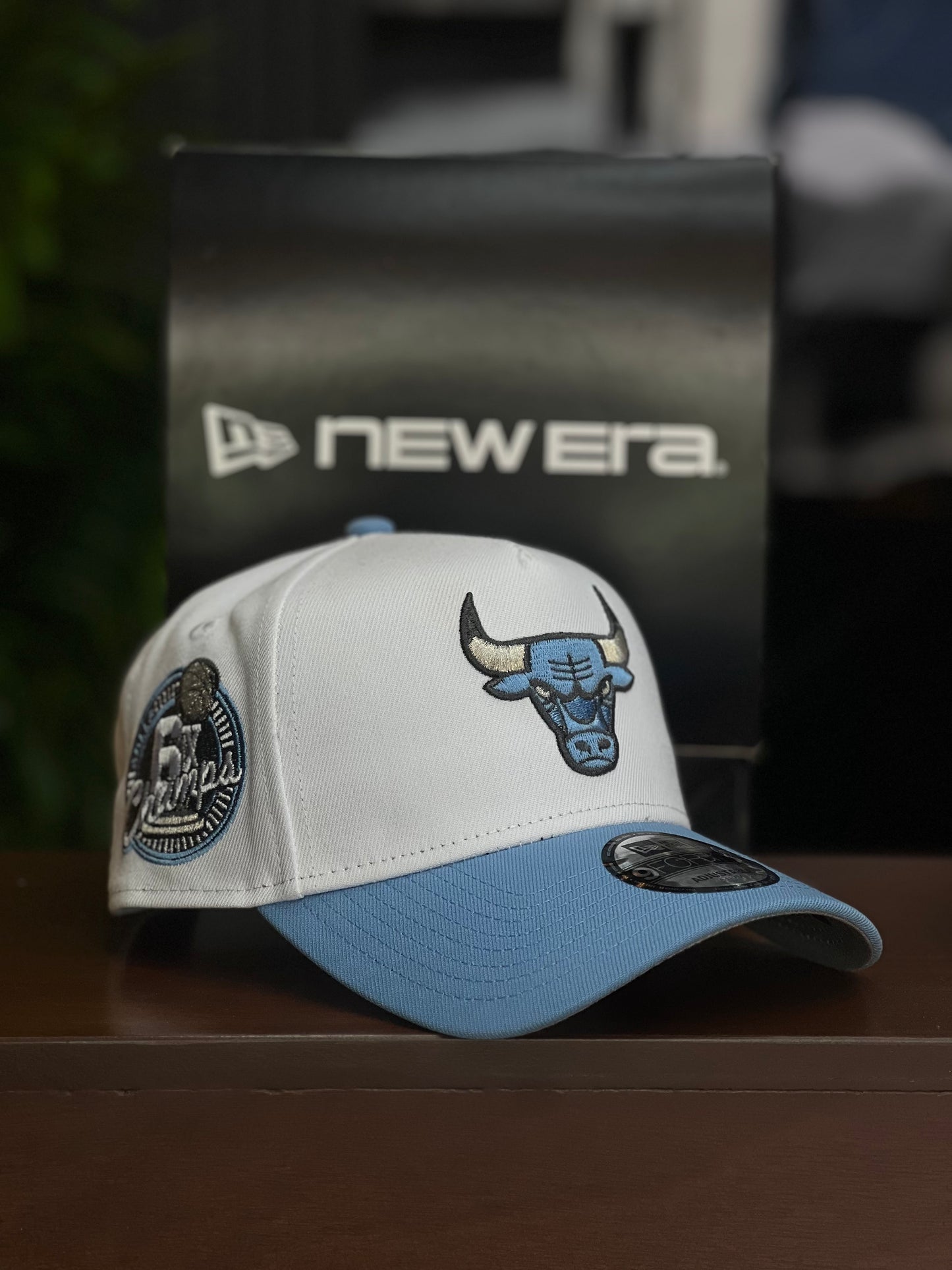 9FORTY CHICAGOBULLS